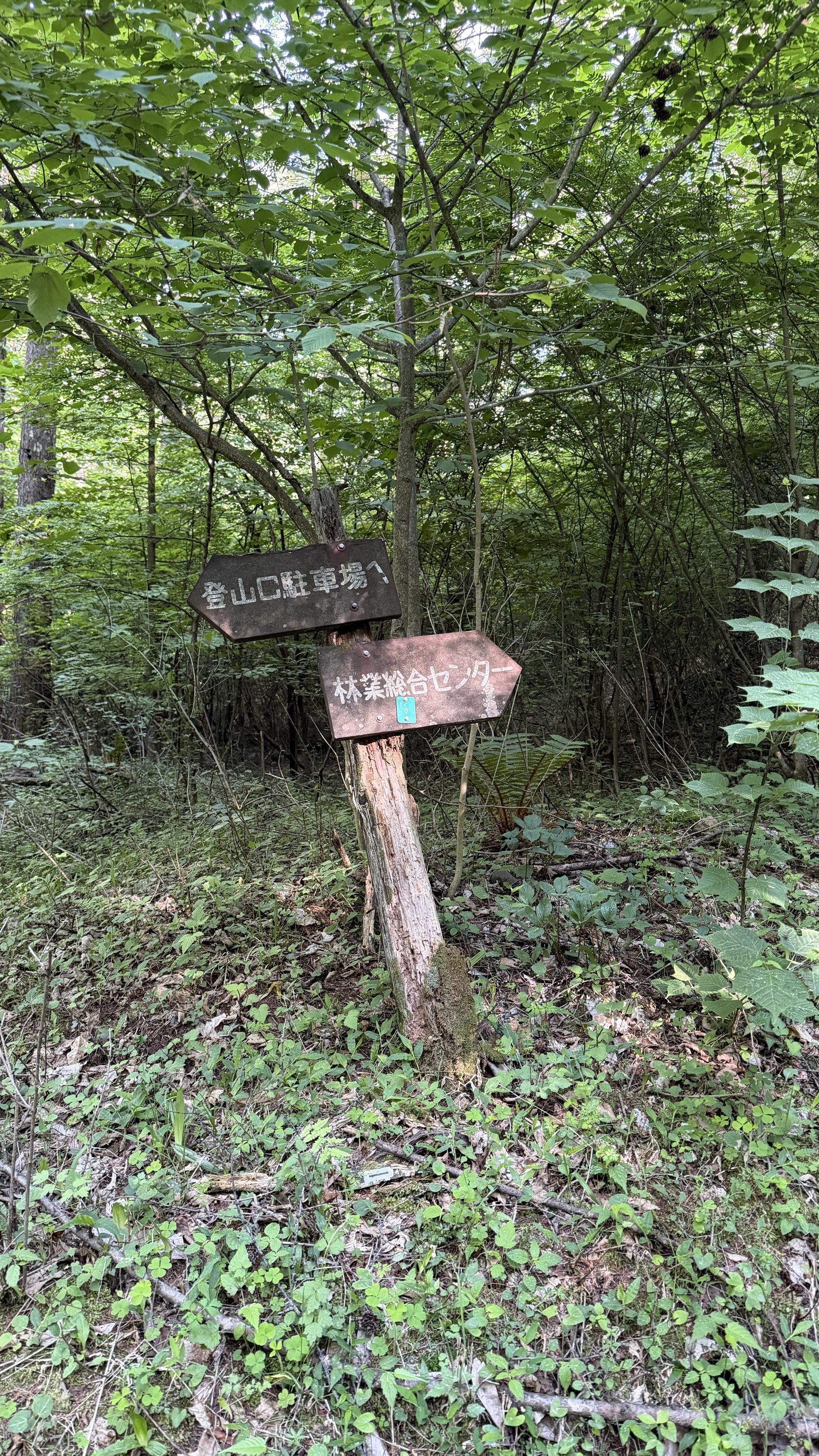 分岐の道標